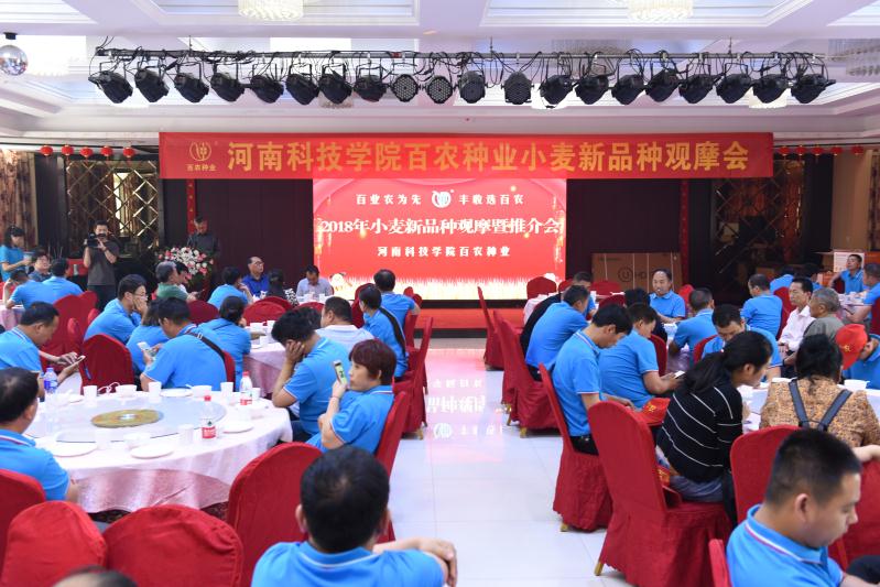 我校举行小麦新品种观摩会